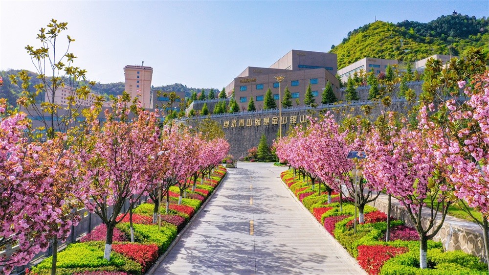 202304241682300636494270.jpg 3.jpg