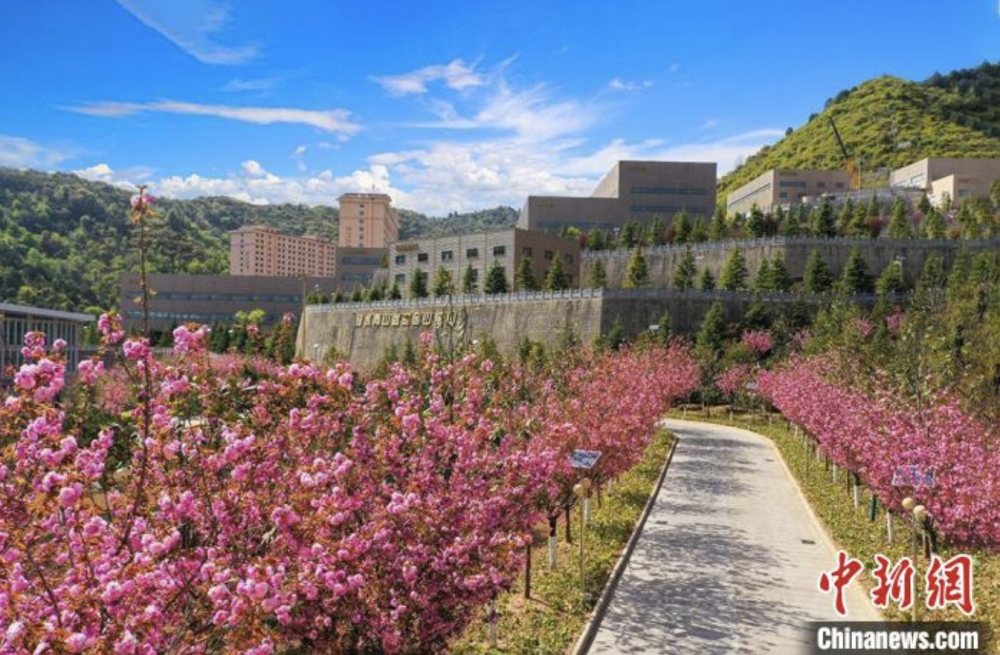 202305121683879282609532.png 微信截圖_20230512160800.png