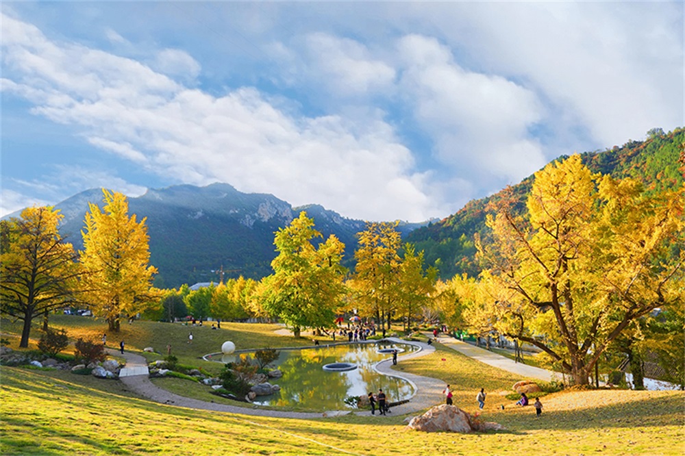 202311151700008633734828.jpg 1212301439_16999323492651n.jpg