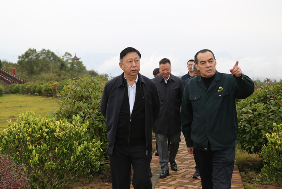 202406261719379699138866.jpg 19-2021年10月,原國土資源部副部長汪民蒞臨公司調研。.jpg