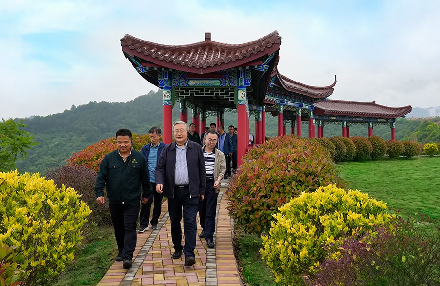 202406261719381374742879.jpg 49-2022年5月,省工信廳副廳長王海峰一行蒞臨金徽股份調研綠色礦山建設工作。.jpg